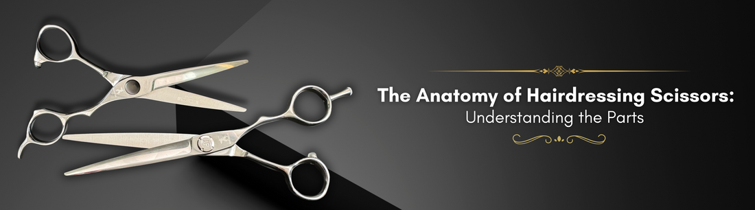 The Anatomy of Hairdressing Scissors: Understanding the Part